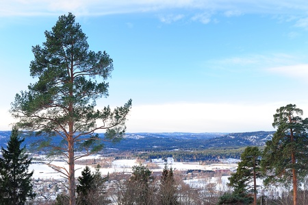 Beautiful view from the mountains in Norwayの写真素材