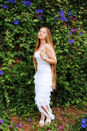 Girl in blue flowers of morning gloryの写真素材