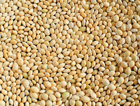 Dolichos beans - organic legume product