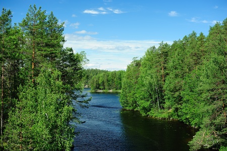 Peaceful forest lake landscapeの写真素材