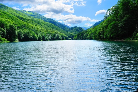 Wonderful bright scenery of Biogradsko lake in the national park Biogradska Gora (Montenegro, Europe)の写真素材