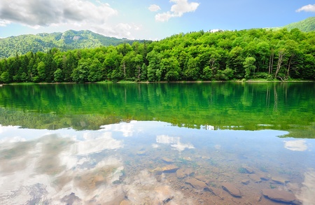 Picturesque scenery of Biogradsko lake in the national park Biogradska Gora (Montenegro, Europe)の写真素材