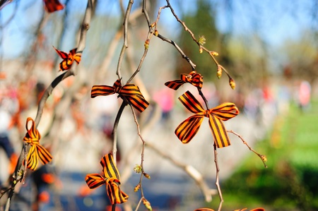 SAINT-PETERSBURG, RUSSIA - MAY 9: Ribbons of St. George (symbols of victory in World War II) on tree branches on Piskaryovskoye Memorial Cemetery on May 9, 2011 in Saint-Petersburg, Russiaのeditorial素材