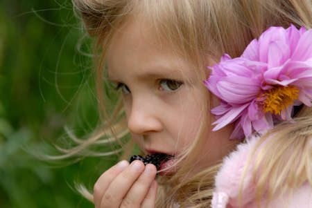 the little girl with a flower in hair eats a blackberryの写真素材