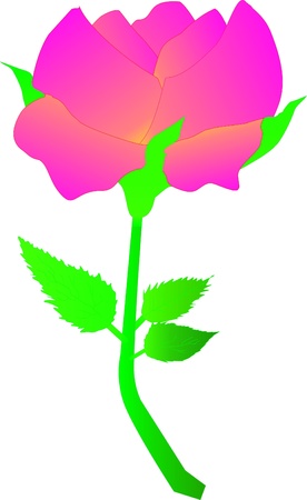 Flowerのイラスト素材