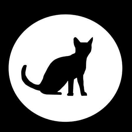 Black Cat in White circleの写真素材