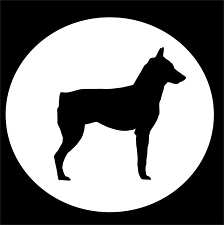 Black Dog without Tail in White circleの写真素材