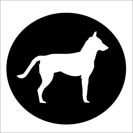White Dog in Black circleの写真素材