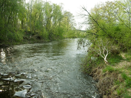 River in springの写真素材