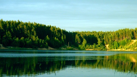 morning on the lake in the woodsの写真素材