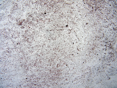 Cement textureの写真素材
