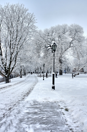 Winter parkの写真素材
