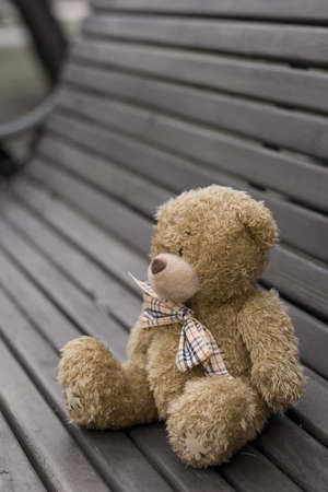 Teddy bear losted in the parkの写真素材