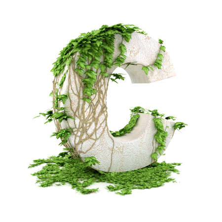 Letter C threads covered with ivy isolated on white background.の写真素材