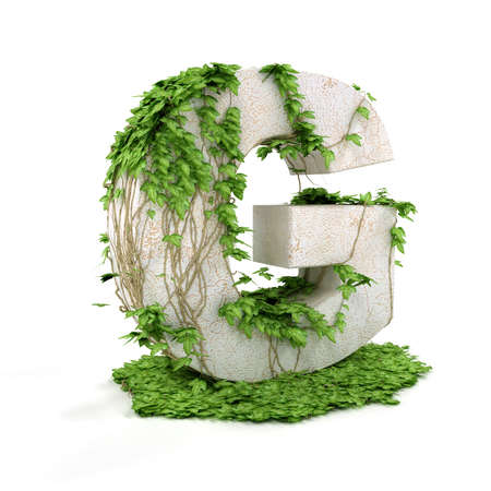 Letter G threads covered with ivy isolated on white background. Letter G threads covered with ivy isolated on white background.