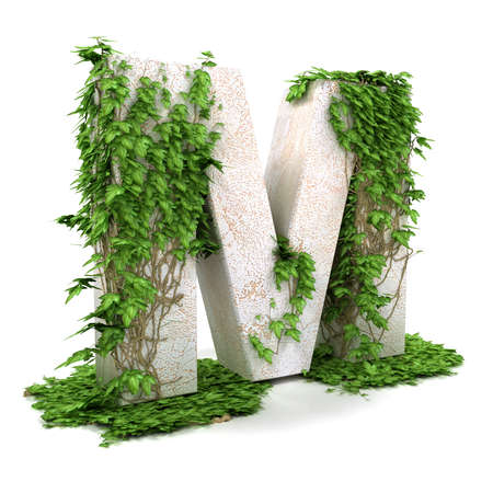 Letter M threads covered with ivy isolated on white background. Letter M threads covered with ivy isolated on white background.