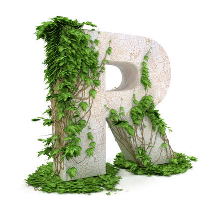 Letter R threads covered with ivy isolated on white background. Letter R threads covered with ivy isolated on white background.