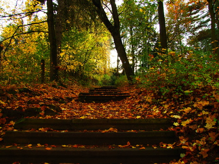 Stairs in the park in fall