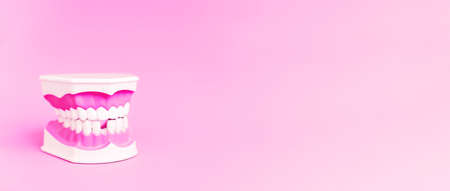 Dentistry concept. Dental care tools. Dentists use plastic toy white model of human teeth without one tooth isolated on Pink, gradient blur background. Extra wide banner with copyspace.の写真素材