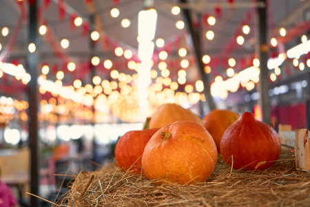 autumn harvest concept. Close up view of appetizing orange pumpkins on bale of hay as a symbol of thanksgiving day and helloween, backdrop bokeh blurred light bulbs and red flagsの写真素材