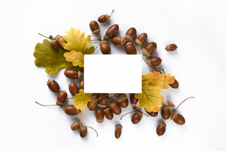 autumn harvest concept. layout of composition of yellow fallen oak leaves and acorns with caps and twigs on a white background. view from above. flat lay. Copy space in the center in a blank squareの写真素材