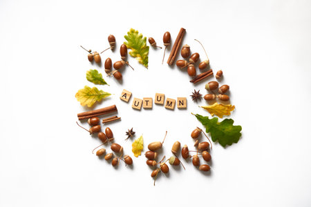 Autumn harvest concept. word on wooden cubes in the center flat lay Creative composition in a circle. fall yellow green autumn leaves, acorns with hats, cinnamon, anis on white background. horizontalの写真素材