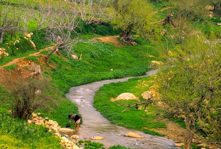 a water stream down the jordan valleyの写真素材