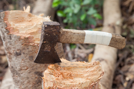 axe and stump