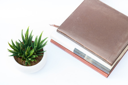 fake flower with book on white backgroundの写真素材