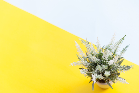 Fake flower with vase on colorful backgroundの写真素材