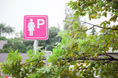 Parking signs for women only.の写真素材