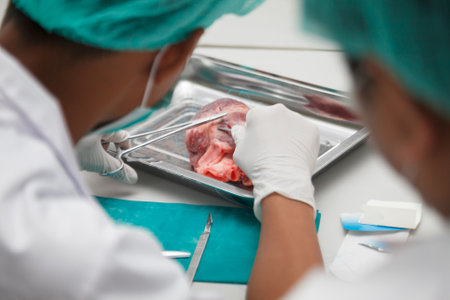 Heart surgery room with specialists providing care.の写真素材