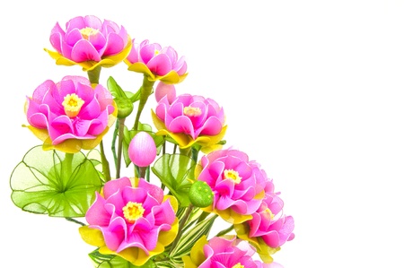 Nylon lotusの写真素材