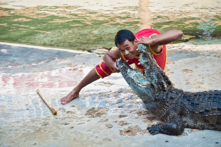 Crocodile show at Samutprakarn Crocodile farm in Thailandのeditorial素材