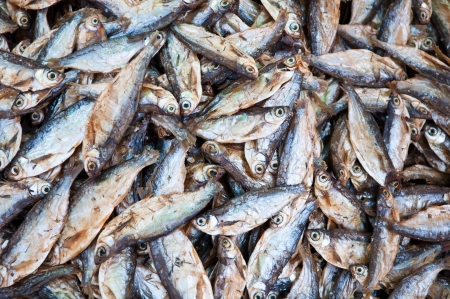 Dry fish in local market at Konpapeng Waterfallの写真素材