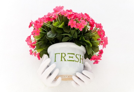 White pot hangs on the white wallの写真素材