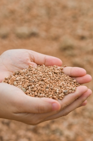 The hands hold small rocks as backgroundの写真素材