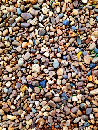 Many small rocks and leaves as background