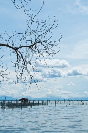 The fishery hut in the sea at Yor Island in Songkhla, Thailandの写真素材