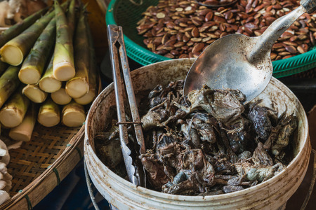 The pickled bullfrog for sell in the market at Chainart, Thailandの写真素材