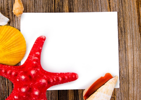 Sea shells on wooden background の写真素材