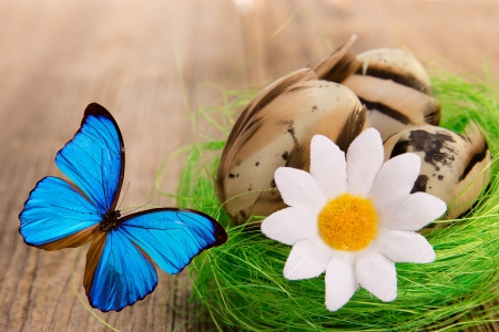 Three white eggs in the straw nestの写真素材