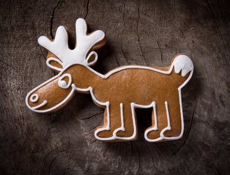 Gingerbread caribooの写真素材