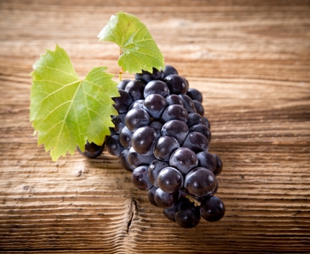 Wine grapesの写真素材