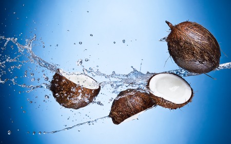 Coconuts with water splash isolated on whiteの写真素材