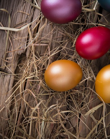 Easter eggs on hayの写真素材