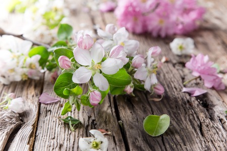 Spring background with beautiful blossomsの写真素材