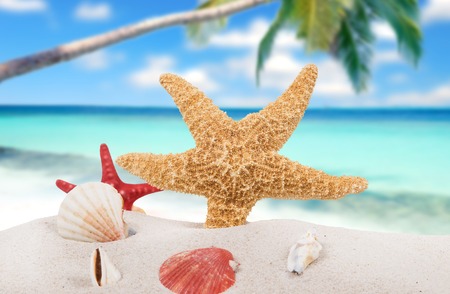 Beach background.の写真素材