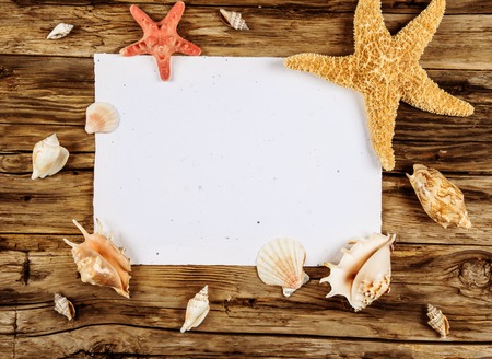 seashells with paperの写真素材