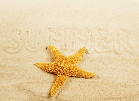 summerの写真素材